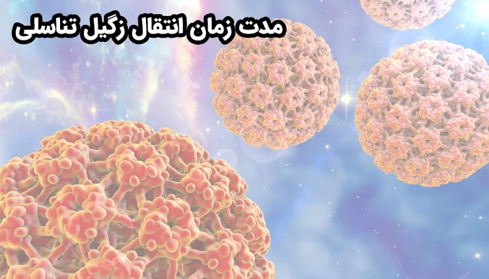 ویروس HPV تنها در زمان بروز زائده‌ها (زگیل‌ها) قابل انتقال نیست، بلکه حتی قبل از ظهور علائم نیز ممکن است به دیگران منتقل شود.