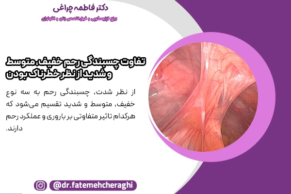 در نوع خفیف، چسبندگی محدود است، در نوع متوسط چسبندگی می‌تواند موجب کاهش جریان خون در رحم و کاهش شانس بارداری شود. اما در نوع شدید چسبندگی رحم، دیواره رحم تقریباً به‌طور کامل بسته شده و خطر ناباروری دائمی یا سقط جنین بالا است.